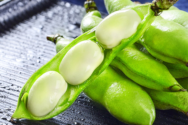 蚕豆的功效与作用及禁忌 深度健康